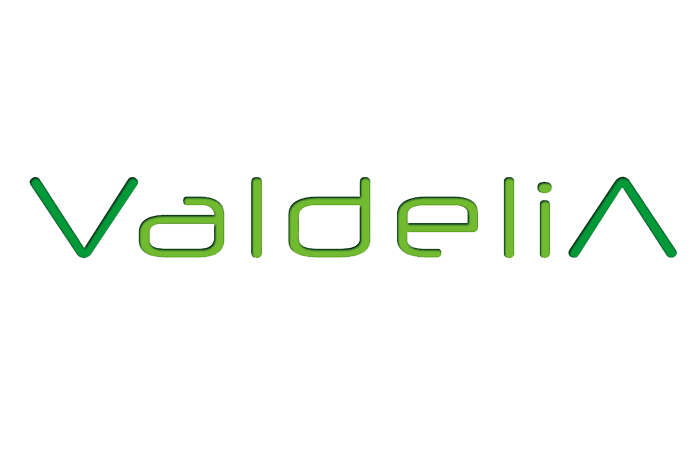 Logo Valdelia