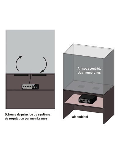 Termostato Terrario Regolatore Umidità E Temperatura ASOFTY - Igrostato Digitale Per Serre, Acquari E Interni Presa Intelligente Umidità